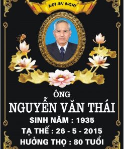 Z4638109180687_0300d61bb19dd65843a065fc0b468710